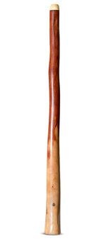 Wix Stix Didgeridoo (WS443)
